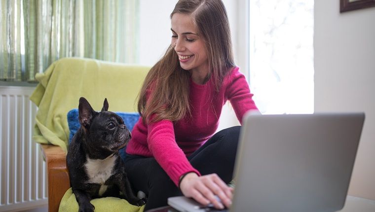 אישה אחת, יושבת על כיסא עם כלבו ועובדת על מחשב נייד.