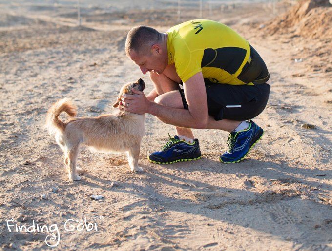 Ο Γκόμπι ο σκύλος που έτρεξε 155 μίλια για να βρει ένα σπίτι