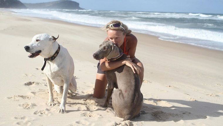 אישה בוגרת מפנקת כלבים בחוף במהלך יום שמש