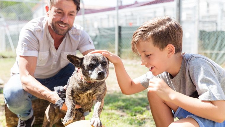 Comment renommer votre chien de refuge après l'adoption - et pourquoi vous devriez!