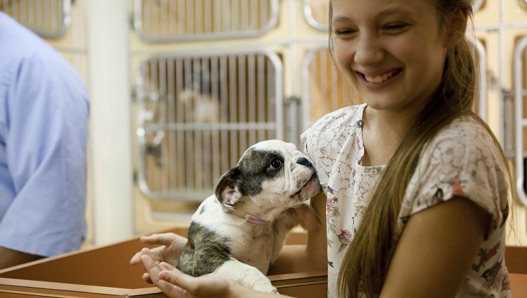 Στο κέντρο υιοθεσίας ζώων χαριτωμένο κορίτσι που κρατά ένα κουτάβι έτοιμο να υιοθετήσει
