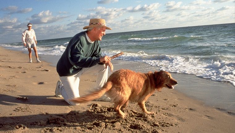 ηλικιωμένος άνδρας παίζει φέροντας με σκύλο στην παραλία