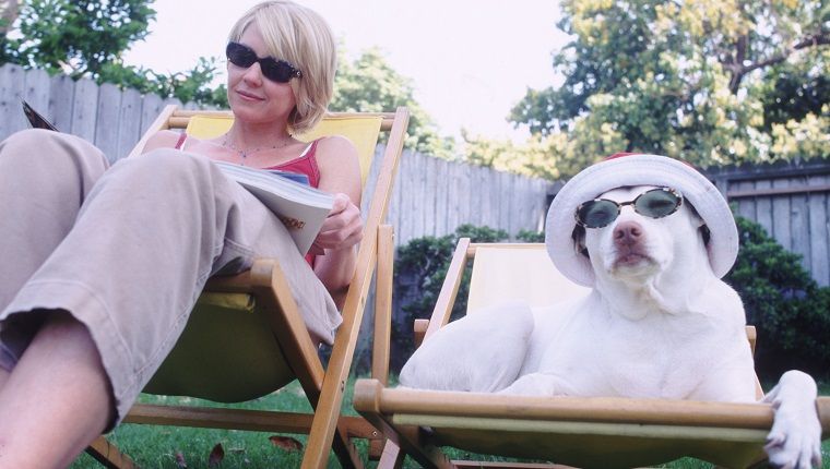 γυναίκα και σκύλος στις καρέκλες γκαζόν