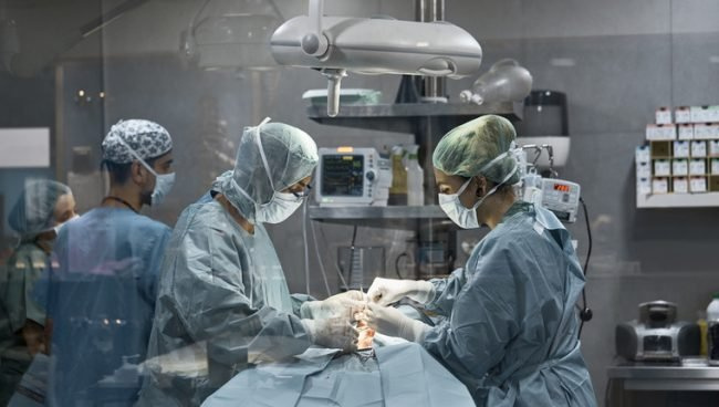 L'impression 3D peut aider les vétérinaires dans la planification chirurgicale