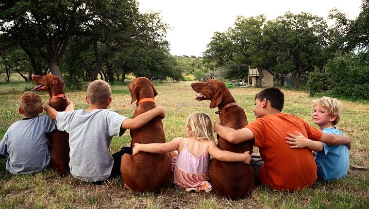 Μια ομάδα παιδιών κάθονται με τα χέρια τους μεταξύ τους και τρία σκυλιά.