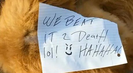 Quelqu'un a battu ce chien à mort et a laissé une note cruelle s'en vantant