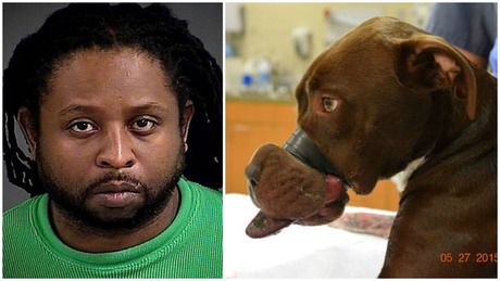 William Leonard Dodson arrêté pour avoir tapoté la bouche d'un chien