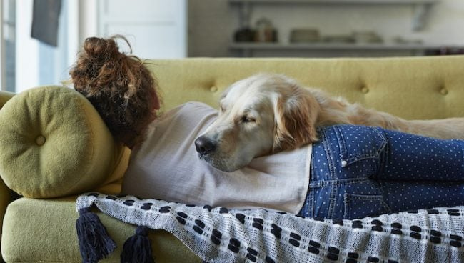 Passar tempo com cães aumenta a atividade cerebral, diz estudo