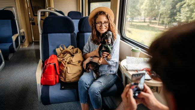 Савети за путовање возом са псима