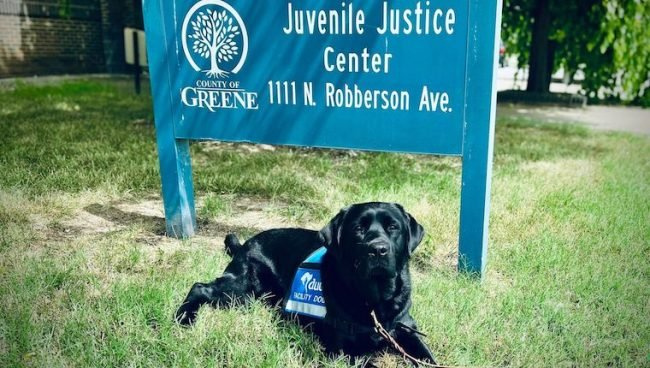 Missouri Juvenile Justice Center obtient un nouvel employé à fourrure
