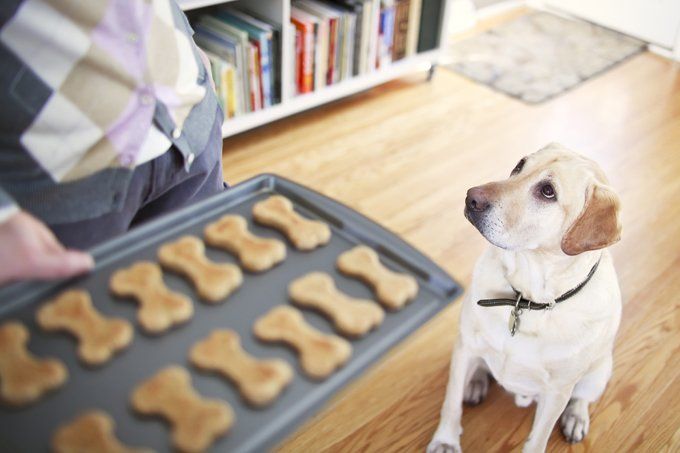 Biscuits appétit osseux pour chiens à la dent sucrée