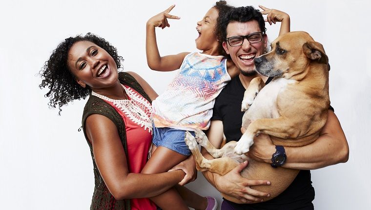 Journée internationale du bonheur: 5 façons de partager le bonheur avec votre chien