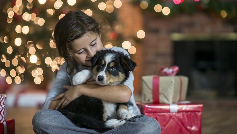 לילד צעיר יש את הגור החדש בחיקו והוא נותן נשיקה לכלב. לצידם יש מתנות עטופות. ברקע יש עץ חג המולד.