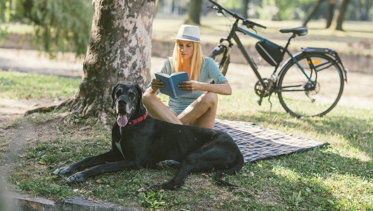 Liste de lecture d'été: 10 livres pour les amoureux des chiens