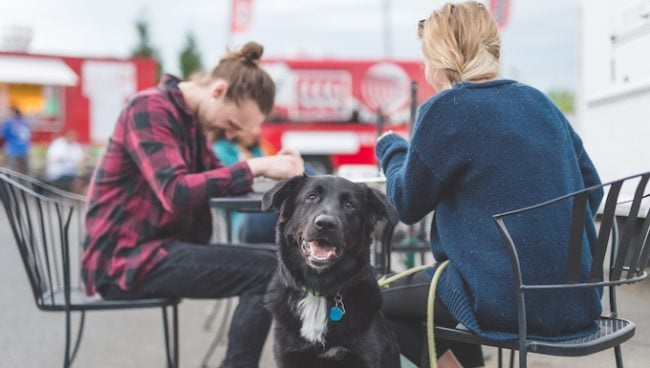 Питамо, Реддит одговори: Да ли бисте требали довести свог пса на први састанак?