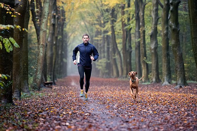 Avoir un chien garde votre cœur en bonne santé - LITTÉRALEMENT - Les chiens sont bons pour votre système cardiovasculaire