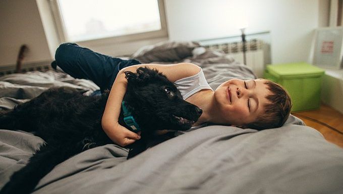 fant drži psa v postelji