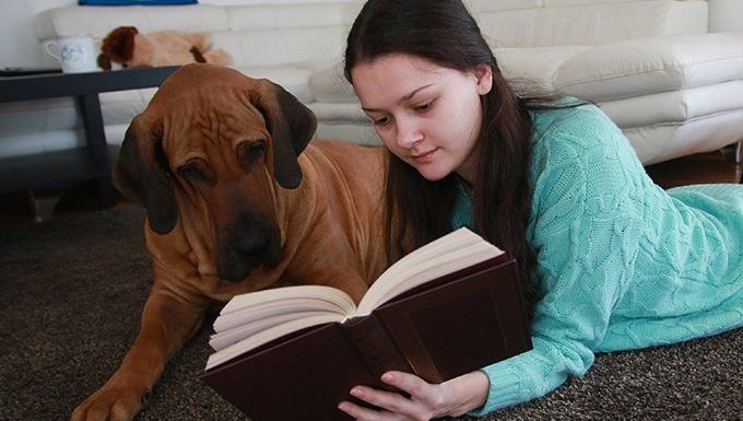 pes in deklica s knjigo