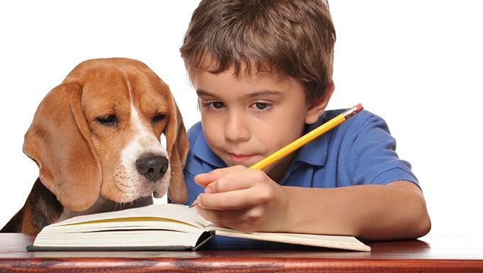 pes, ki opazuje dečka, ki si dela zapiske in preučuje