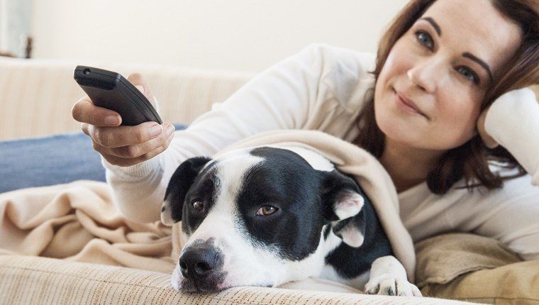 Жена која гледа телевизију са псом