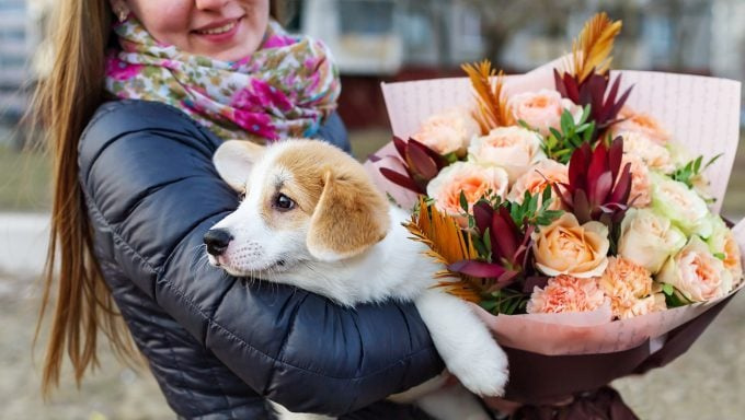   naine hoiab käes koera ja kimp koerale ohutuid lilli