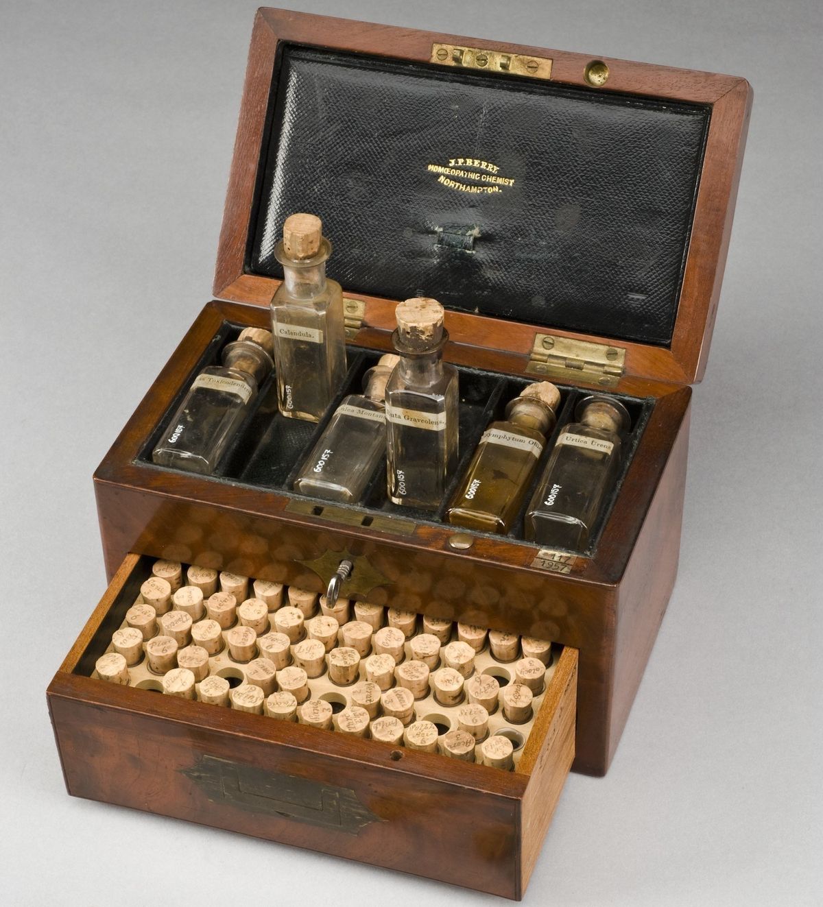 200-letna homeopatska zdravila se lahko soočijo s sodobnimi medicinskimi testi