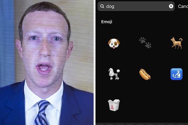 Instagram -haku koiranpinnoille kiinalainen noutolaatikko