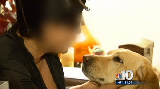 Un chien-guide sauve une femme aveugle des intrus et d'une fuite de gaz en une nuit