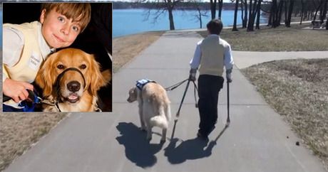 Дечак проналази новог најбољег пријатеља у службеном псу који финансира заједница
