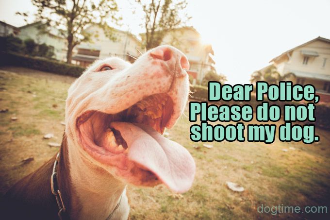 Gerbiama policija: prašau NEŠaudyti mano šuns
