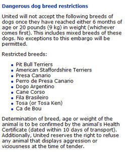 Plemená psov majú zakázané lety zo spoločnosti United Airlines