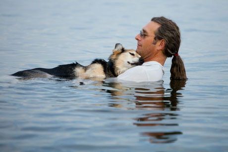 Schoep, un chien sur une photo célèbre, est décédé