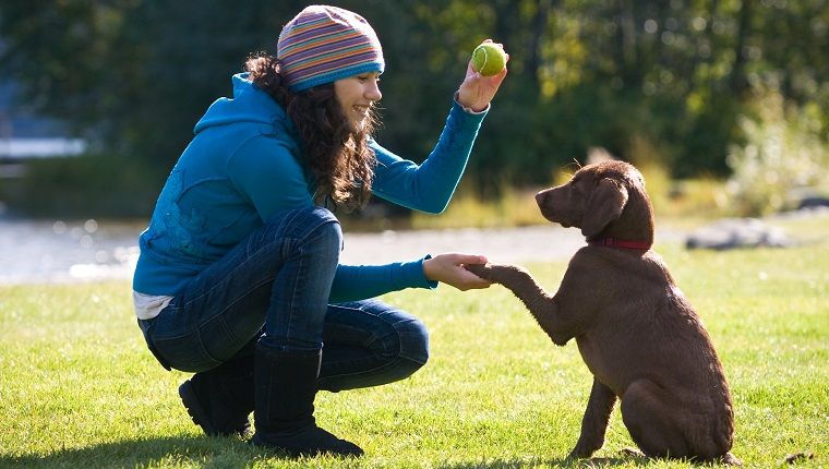 Програм обуке паса за терапију помаже тинејџерима који ризикују да науче вештине и емпатију