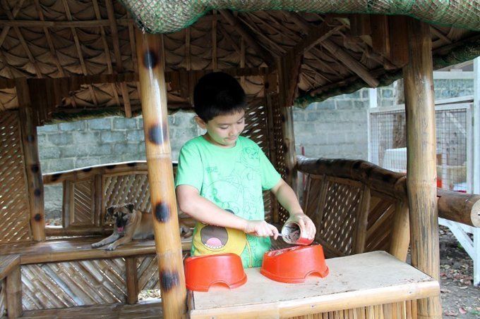 10-letni fant na Filipinih začne svoje zavetišče za živali