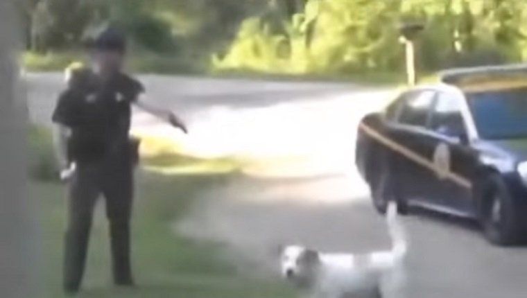אישה שנעצרה על מנת להגן על כלבה מפני השוטר שרצה לירות בו תביעות