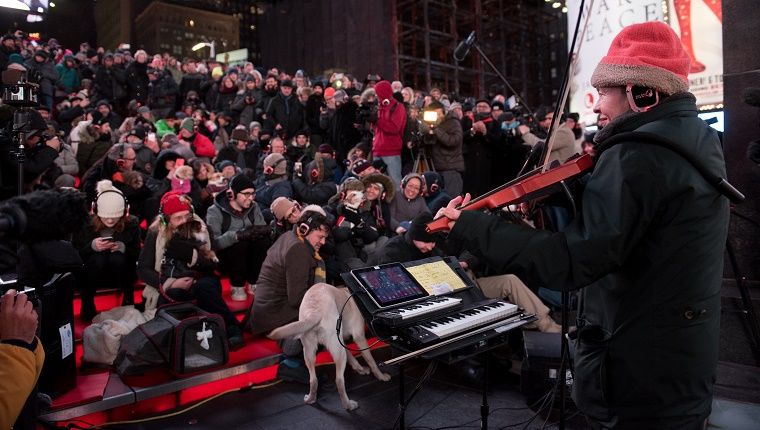 קונצרט לכלבים? לורי אנדרסון מופיע עבור פוצ'ים בכיכר טיימס